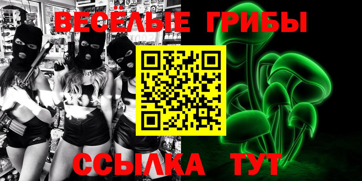 Новочебоксарск  Псилоцибиновые грибы Cubensis  Вход с VPN 