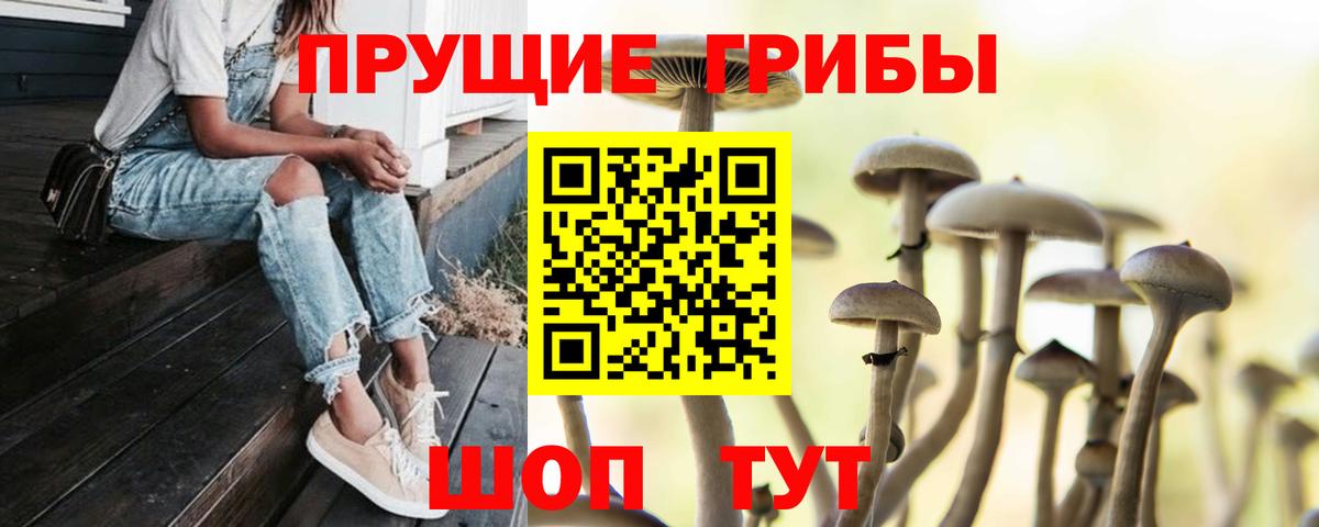 Псилоцибиновые грибы прущие грибы Новочебоксарск